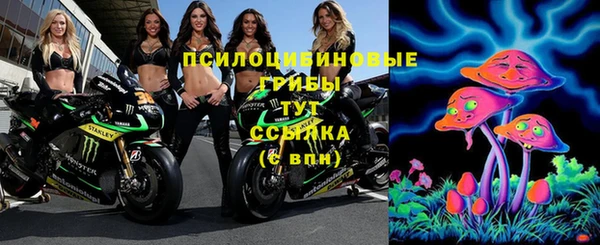 спиды Каменск-Шахтинский
