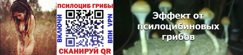 наркошоп  Долгопрудный  нарко площадка состав  Галлюциногенные грибы Magic Shrooms 